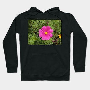 Cosmos flower Hoodie